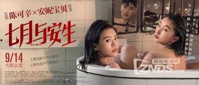 国产女同精品9,细腻情感与独特视角的青春共鸣